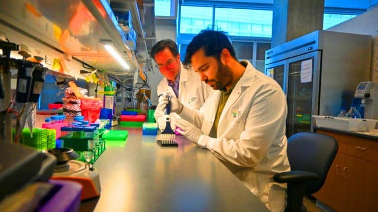 Ce nouveau test à moins d’un centime détecte le cancer du pancréas des années avant les symptômes avec 98 % de précision