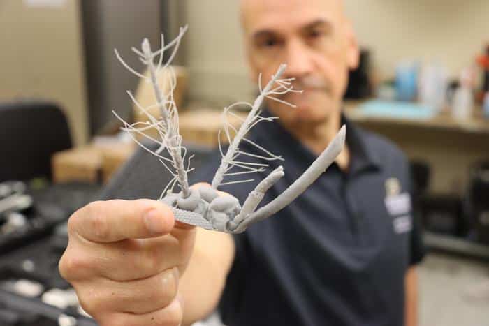 Le professeur Pablo Zavattieri de l'Université Purdue tient dans ses mains une tête de moustique imprimée en 3D. Son équipe recrée les antennes de moustique pour mieux analyser leur sensibilité aux vibrations, ce qui pourrait améliorer la surveillance et la détection des catastrophes naturelles.