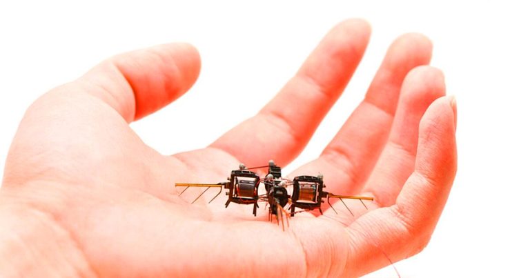 Plus endurant qu’un vrai insecte : ce minuscule robot du MIT vole 100 fois plus longtemps grâce à des ailes révolutionnaires