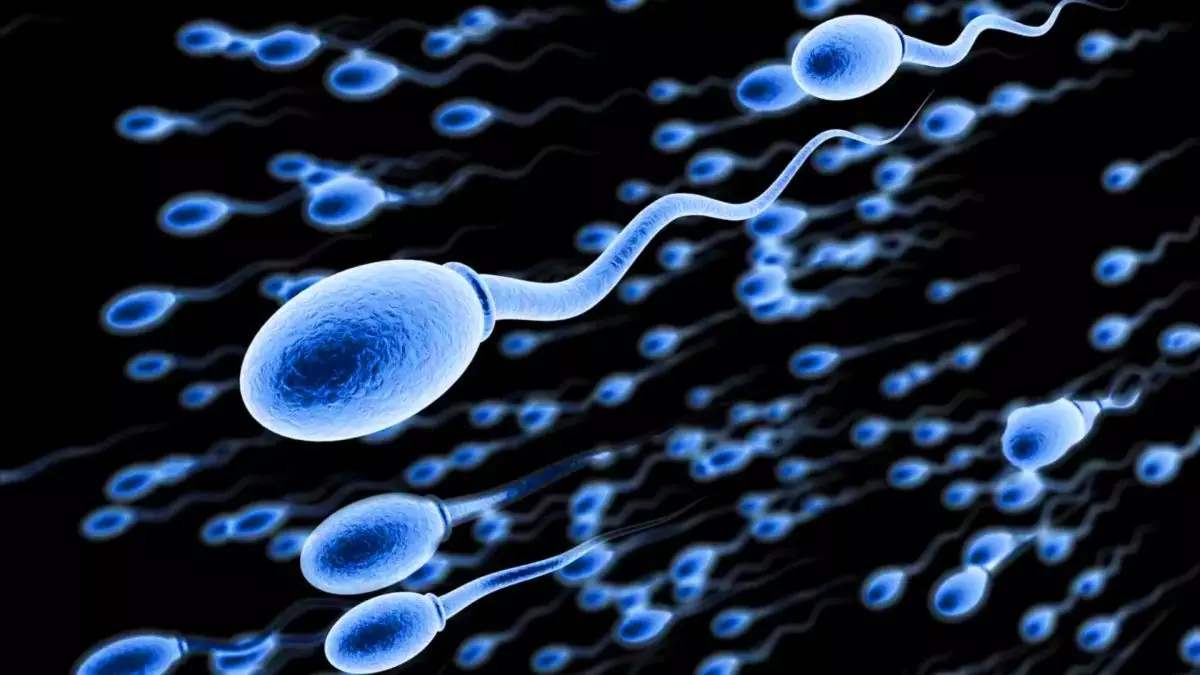 Ces robots nageurs, aussi petits que 20 cm, pourraient révolutionner la fertilité et la médecine comme jamais auparavant