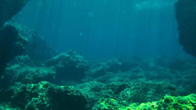 Cette découverte sous-marine bouleverse la science : un élément radioactif révèle 10 millions d&rsquo;années d&rsquo;histoire terrestre