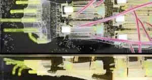 Cette main biohybride de 18 cm, fusion de muscle humain et robotique, promet de révolutionner la science des prothèses