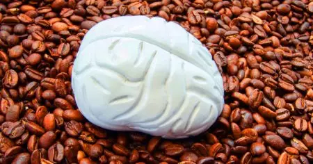 Cette tasse de café : une réduction de 10% de votre matière grise en 10 jours, mais un potentiel protecteur pour votre cerveau