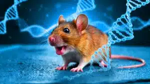 Des souris "parlent" grâce à un gène humain : le NOVA1 modifie leur langage dans une découverte scientifique révolutionnaire