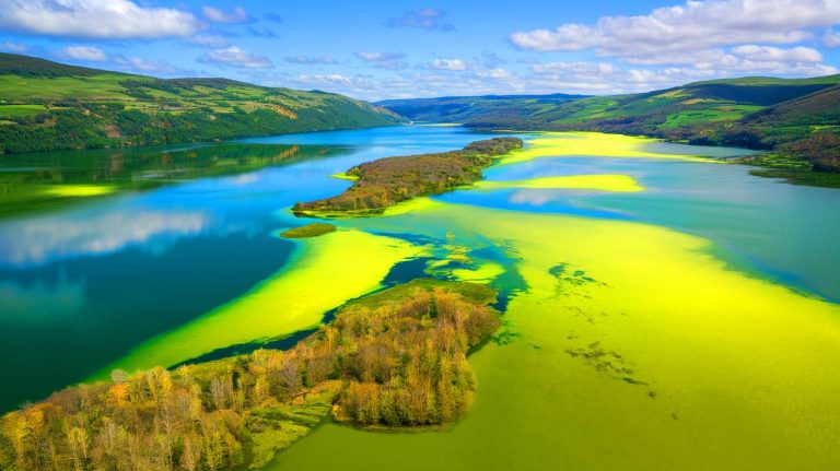 Pourquoi les lacs du monde entier virent-ils au vert ? Une étude révèle un phénomène alarmant à l’échelle planétaire