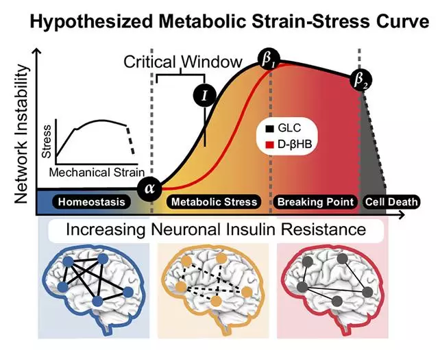 Stress neuronal