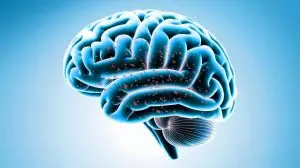 Ce cerveau humain contient une cuillère de microplastiques : une montée fulgurante du risque de démence inquiète les scientifiques