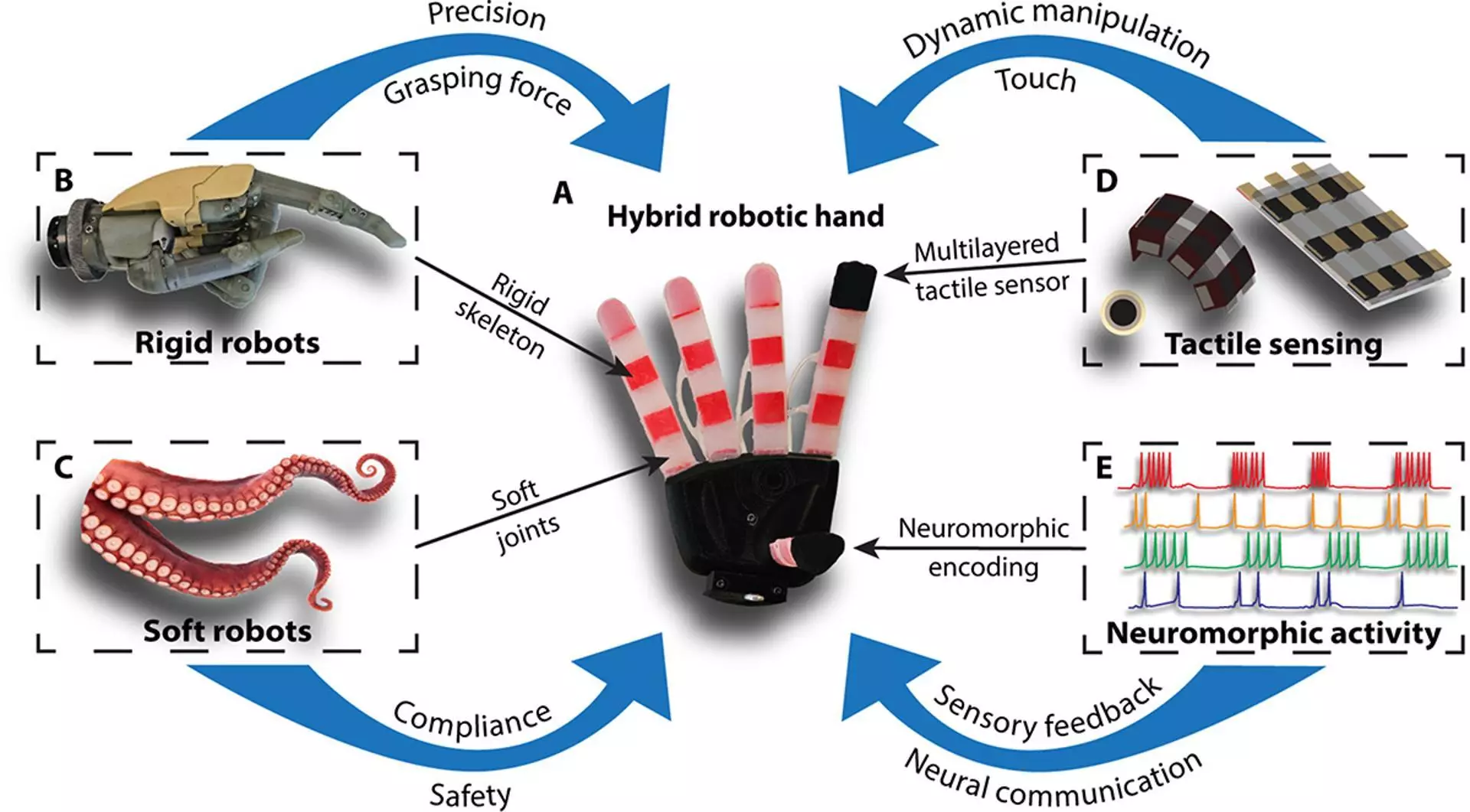 Un aperçu des différents éléments de la main robotisée agile