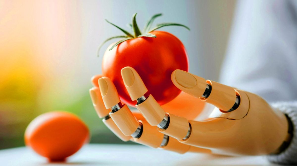 Cette main bionique révolutionnaire tient un œuf sans le casser : un prodige technologique qui redéfinit notre futur