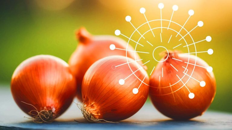 « Du jamais-vu dans l&rsquo;énergie solaire » : cet étonnant colorant d&rsquo;oignon rend les cellules solaires plus vertes et résistantes aux UV