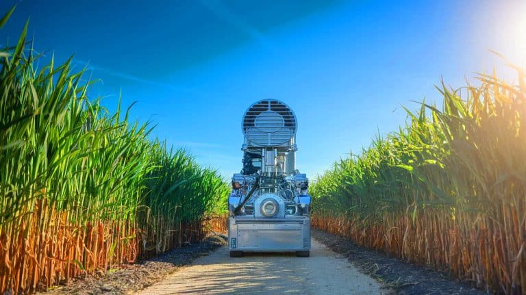 « Du sucre en électricité » : ce moteur testé pour la première fois au monde transforme la canne à sucre en énergie propre