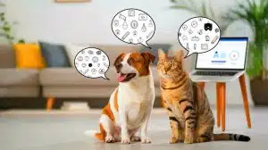 Votre chat pourrait bientôt divulguer ses pensées secrètes : l'IA révolutionne la communication animale