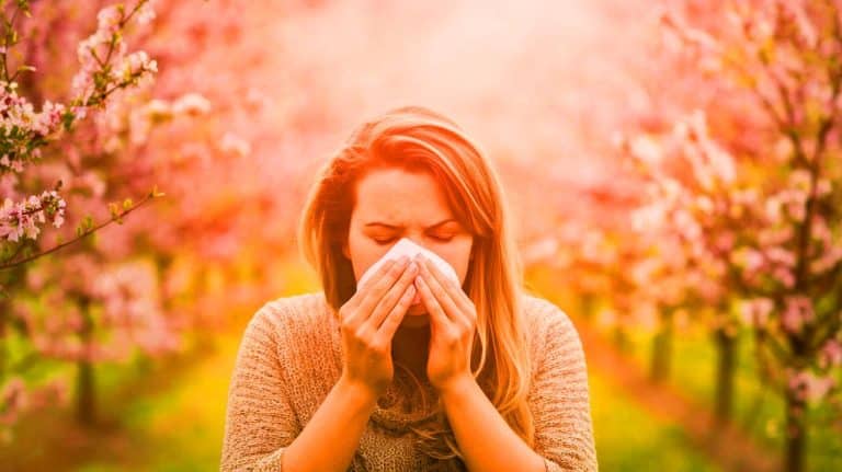 Allergies hors de contrôle : vos symptômes s’aggravent d’année en année à cause du réchauffement climatique qui dope la production de pollen