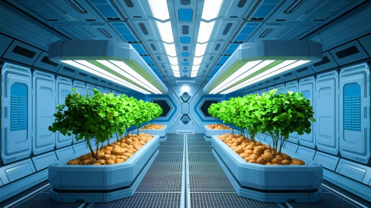 « Nous cultivons l'avenir » : l'ESA propulse un bioreacteur révolutionnaire pour faire pousser steaks et pommes de terre dans l'espace