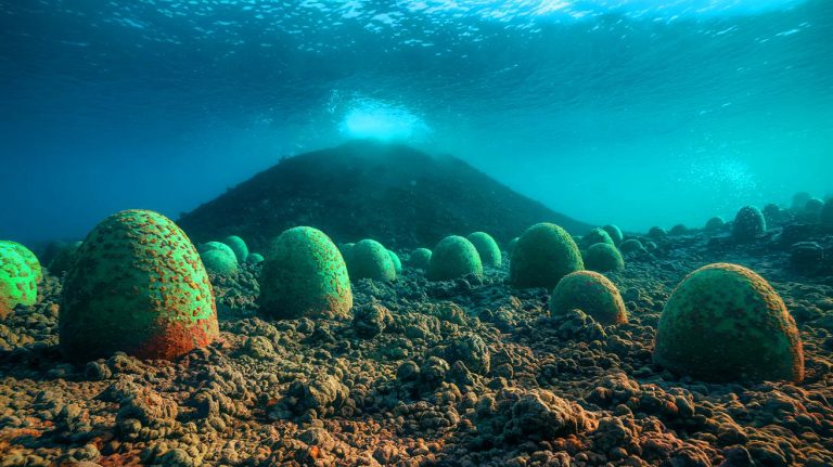 Sous l’océan, ce volcan actif révèle des milliers d’œufs géants : « Ils sont encore vivants » affirment des chercheurs stupéfaits par cette trouvaille unique