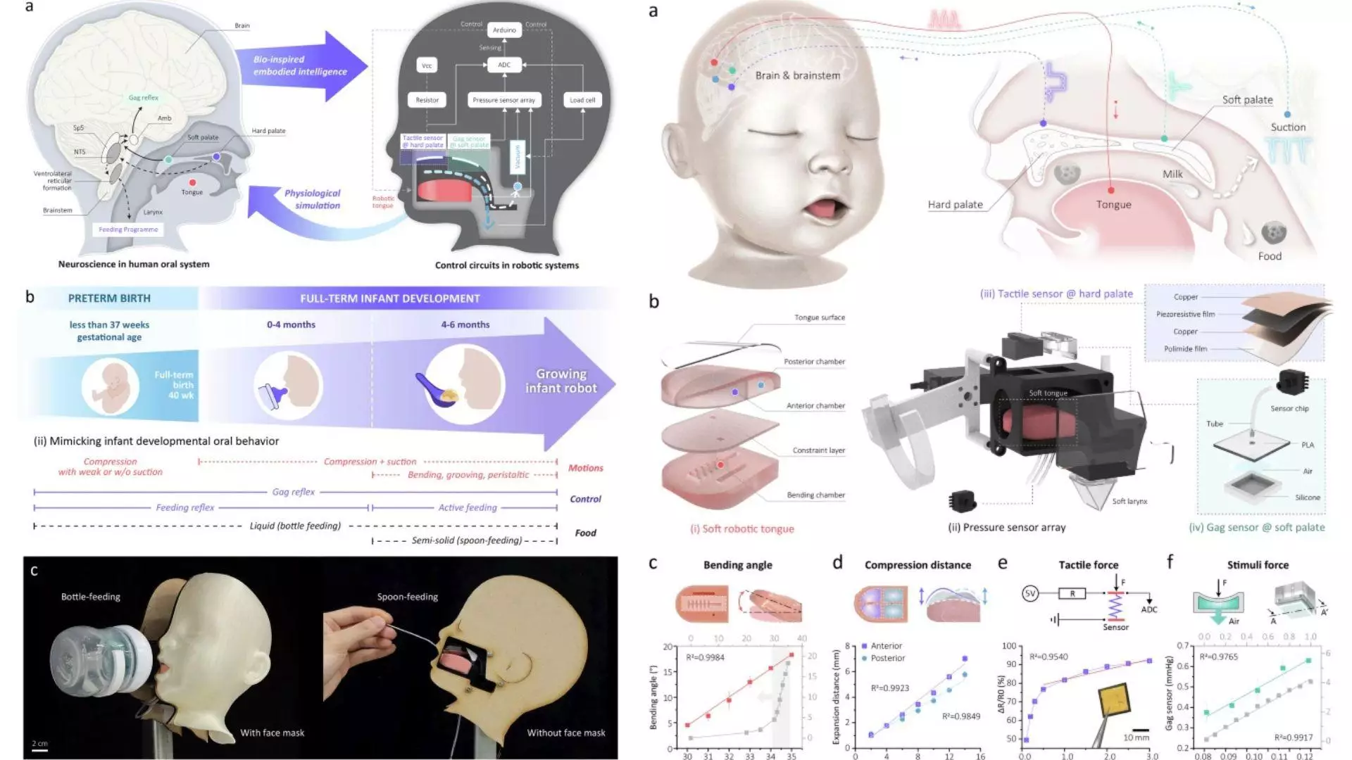 La figure 1 présente l'inspiration, le développement et les utilisations de BabyBot, tandis que la figure 2 montre sa reproduction de la physiologie, de l'activation et de la perception sensorielle des bébés.