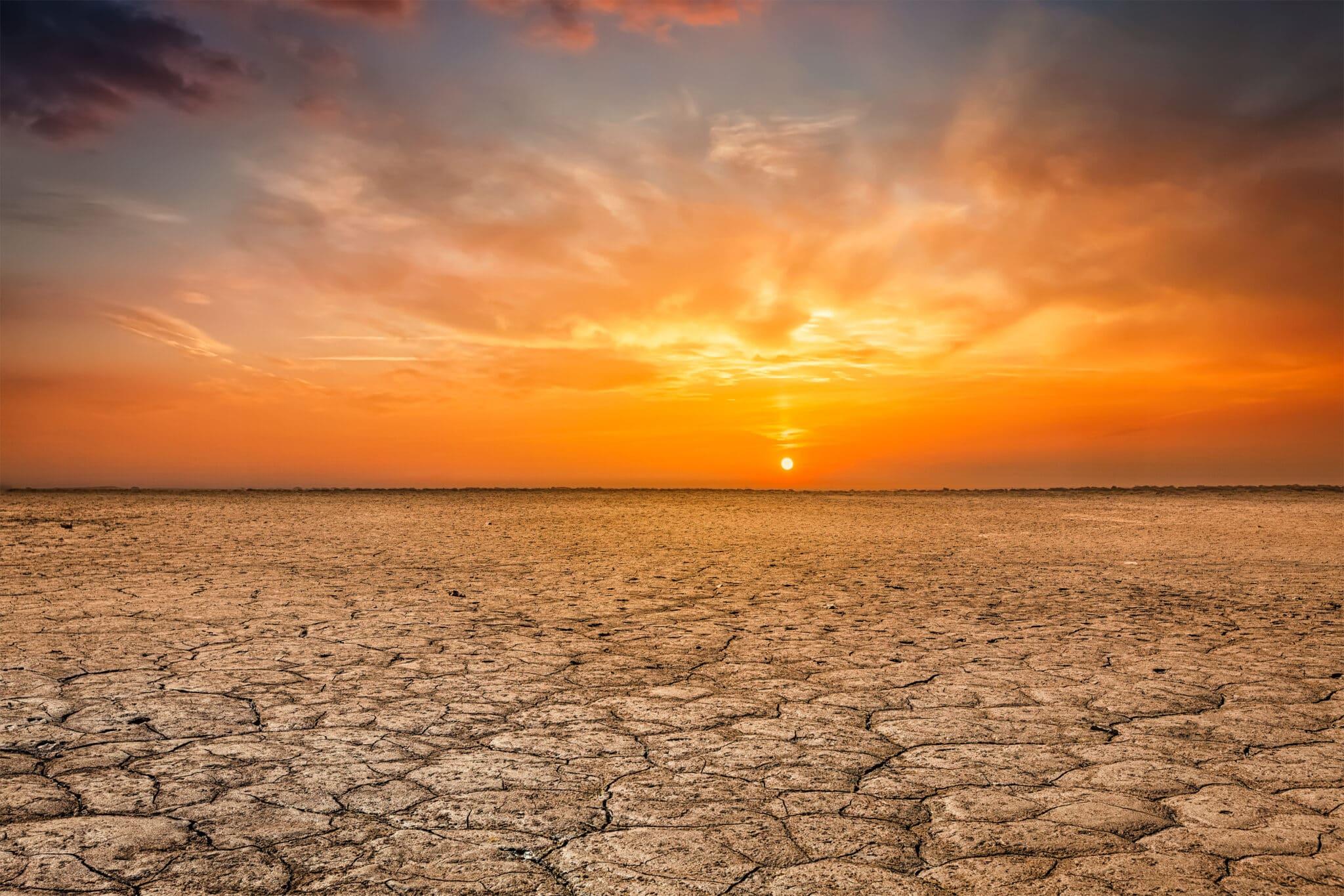 Existence sur notre planète