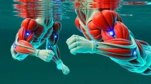 Illustration de muscles artificiels sous-marins alimentés par la lumière. Image réalisée par IA.