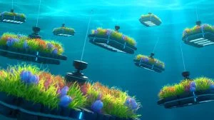 Illustration de l'utilisation de robots BGC-Argo pour mesurer la biomasse de phytoplancton dans les océans.