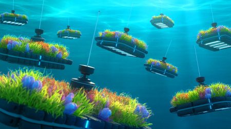 Illustration de l'utilisation de robots BGC-Argo pour mesurer la biomasse de phytoplancton dans les océans.