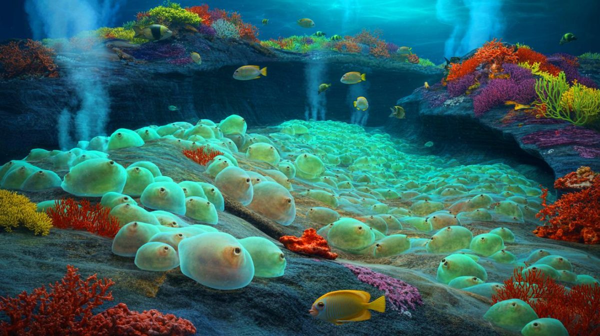 Illustration de la découverte d'œufs géants de raies blanches du Pacifique dans un volcan sous-marin actif près de l'île de Vancouver.