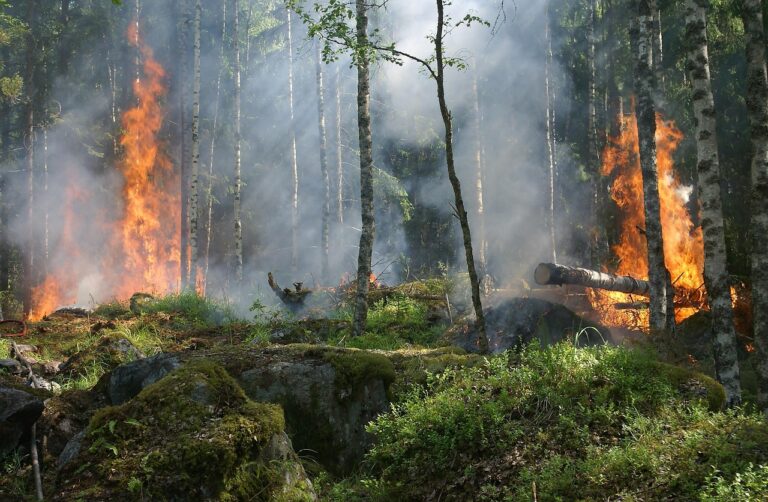« Les drones patrouilleurs, c’est la meilleure arme contre les incendies incontrôlables » : cette surveillance préventive enflamme le débat sur la gestion des feux de forêt