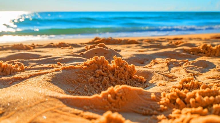 « Quand le sable devient plus chaud que l’air » : un mystère naturel qui surprend chaque été sur les plages du monde