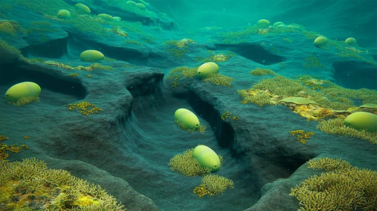 Illustration de la découverte d'œufs géants de raie blanche sous un volcan sous-marin actif près de l'île de Vancouver.