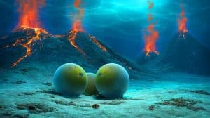 Illustration de la découverte d'œufs géants de raie blanche du Pacifique sous un volcan marin actif.