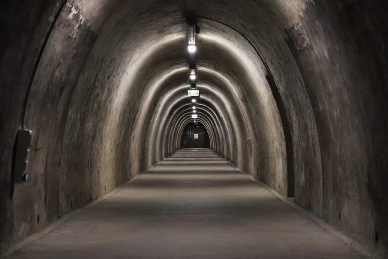 « Le projet le plus fou du monde » : Elon Musk lance un tunnel transatlantique pour relier l’Amérique à l’Europe