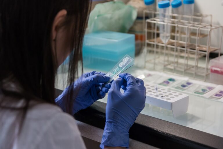 « Voici les organoïdes cérébraux créés en laboratoire » : des mini-cerveaux qui imitent l’humain et pourraient atteindre une conscience élémentaire