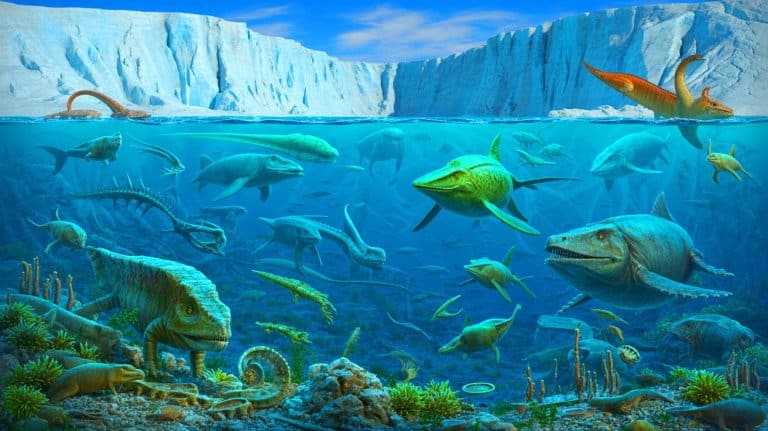 Découverte fascinante : un écosystème marin vieux de 249 millions d&rsquo;années révèle ses secrets étonnants