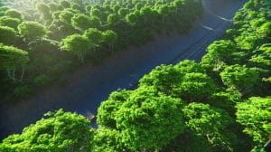 Illustration de la décision du Parlement européen de reporter la loi contre la déforestation importée.