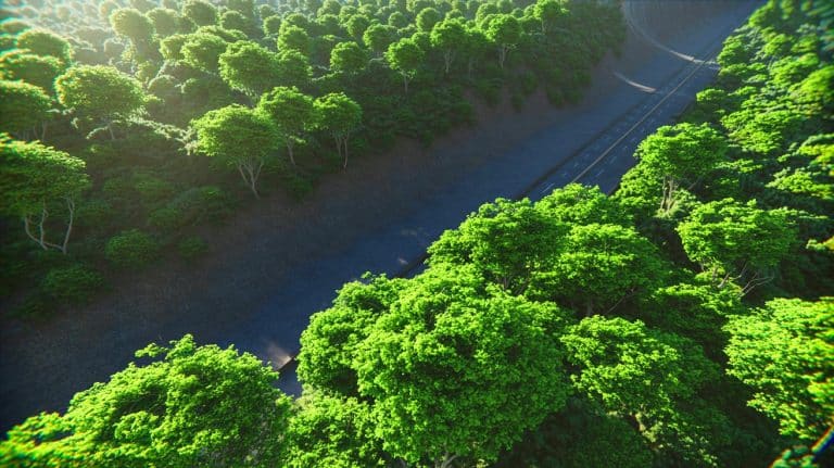 Loi anti-déforestation de l&rsquo;UE reportée : les lobbies soulagés, quelles conséquences pour notre planète ?