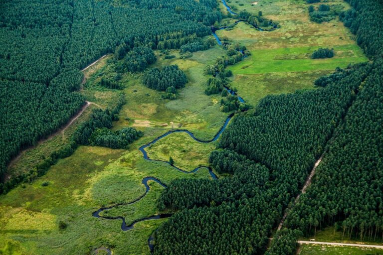 Loi anti-déforestation de l&rsquo;UE reportée : les lobbies soulagés, quelles conséquences pour notre planète ?