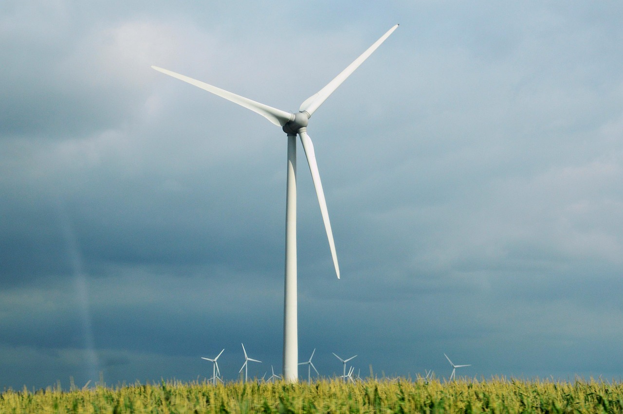 Innovation et développement durable : un duo gagnant