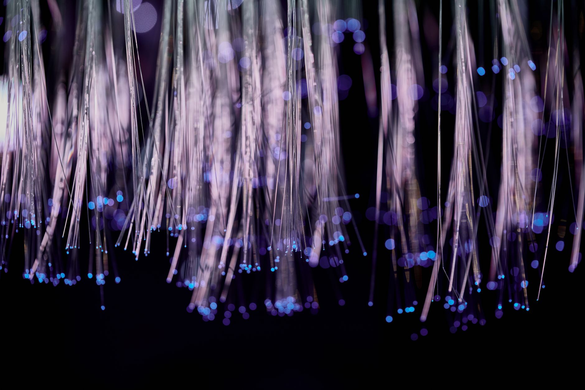 Brins de fibre optique parcourus par la lumière sur fond sombre