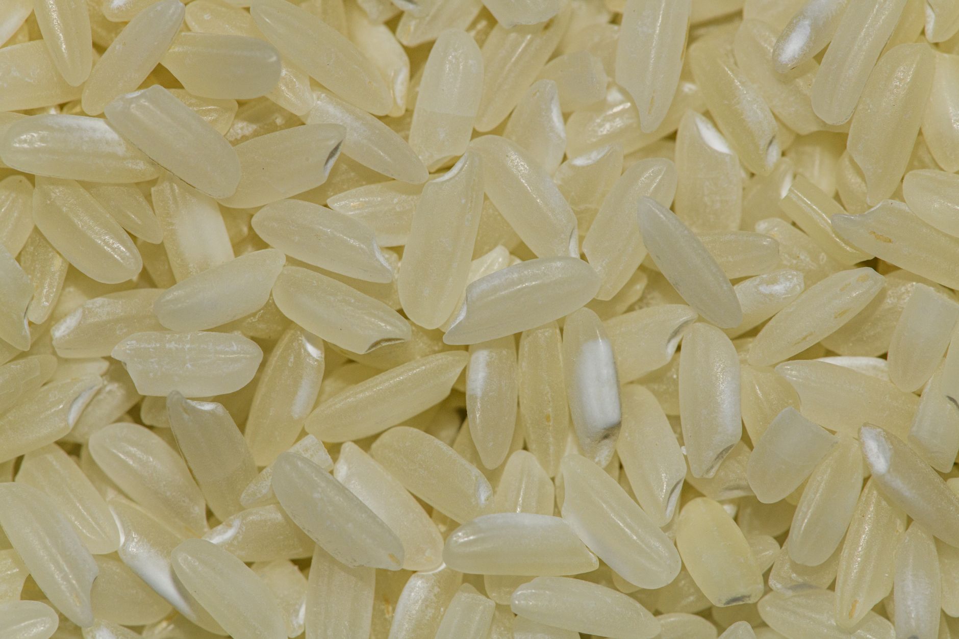 Gros plan sur un ensemble dense de grains de riz blanc.